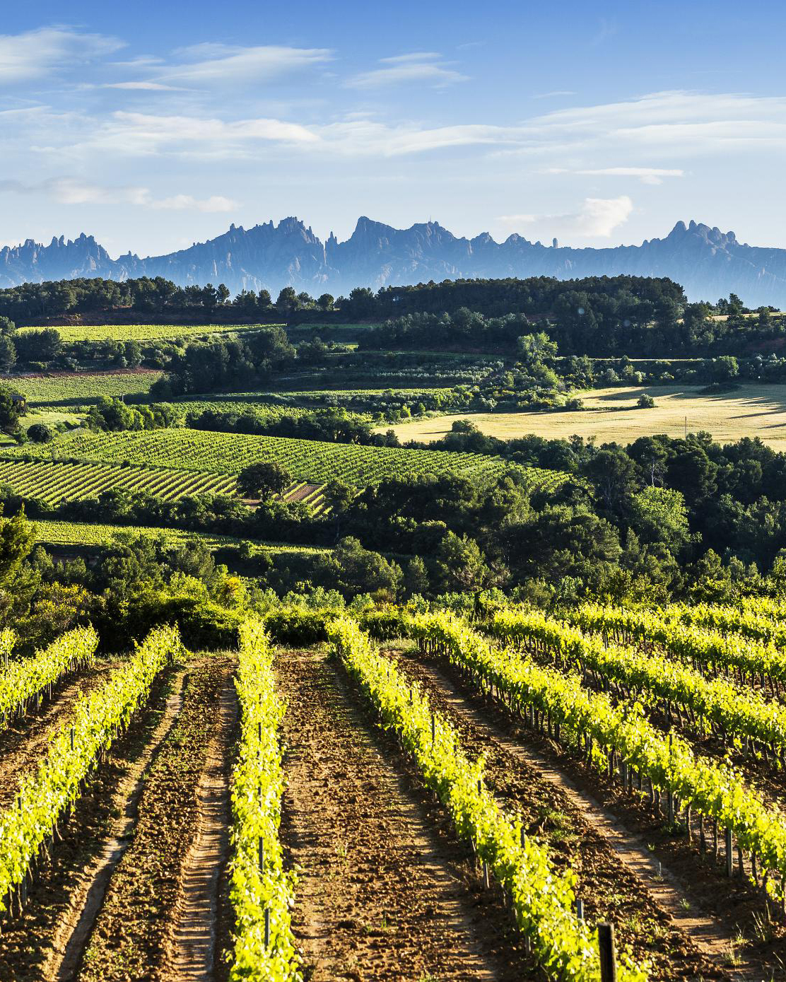 9017 enoturisme p 0038